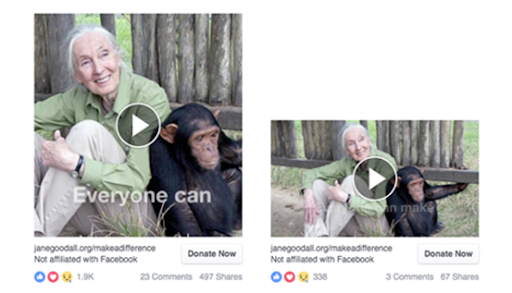 jane goodall viện quảng cáo video facebook a / b thử nghiệm